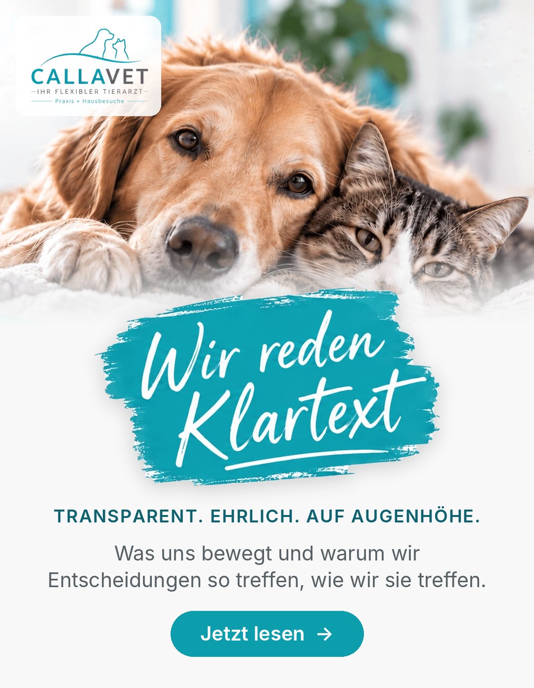 Wir reden Klartext – Transparent. Ehrlich. Auf Augenhöhe. Jetzt lesen.