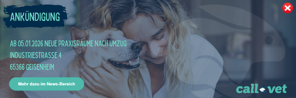 Neue Praxisräume in Mainz-Kastell