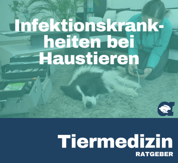Infektionskrankheiten bei Haustieren im callavet Tiermedizin Ratgeber